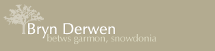 Bryn Derwen Betws Garmon Snowdonia